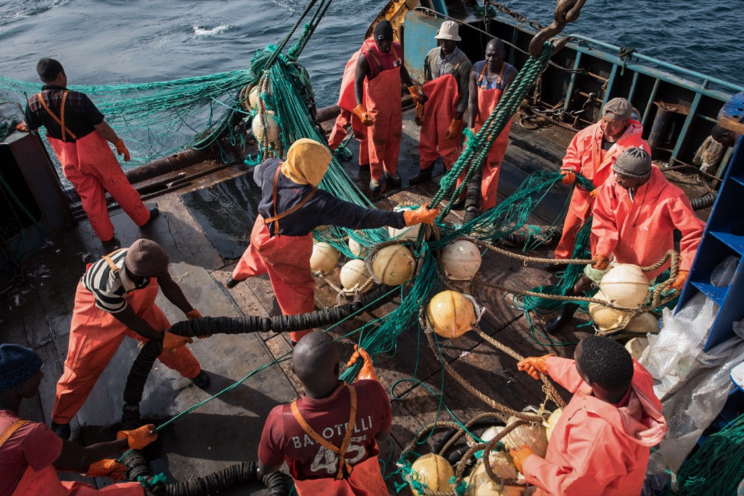 中國在非洲  <br><span style="color: #2bb6c9" class="highlight-intro">從「大格局」「小人物」深度解讀中國在非洲扮演的角色</span> - 端 Mall