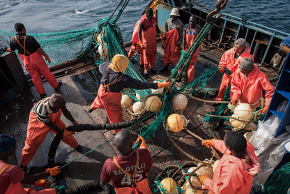 中國在非洲  <br><span style="color: #2bb6c9" class="highlight-intro">從「大格局」「小人物」深度解讀中國在非洲扮演的角色</span> - 端 Mall