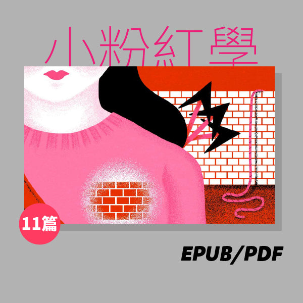 小粉紅學：互聯網時代的粉紅浪潮（繁簡體）