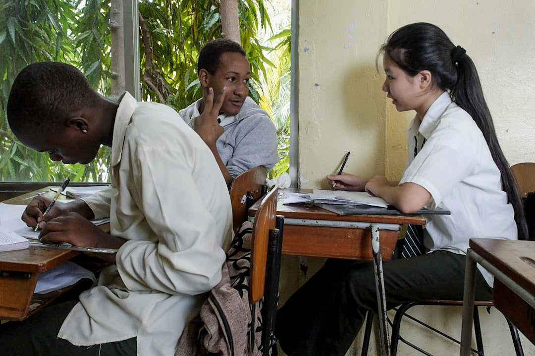 中國在非洲  <br><span style="color: #2bb6c9" class="highlight-intro">從「大格局」「小人物」深度解讀中國在非洲扮演的角色</span> - 端 Mall